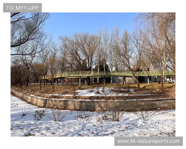 龙潭中湖乒乓球场地免费开放，成跨区球友热门聚集地